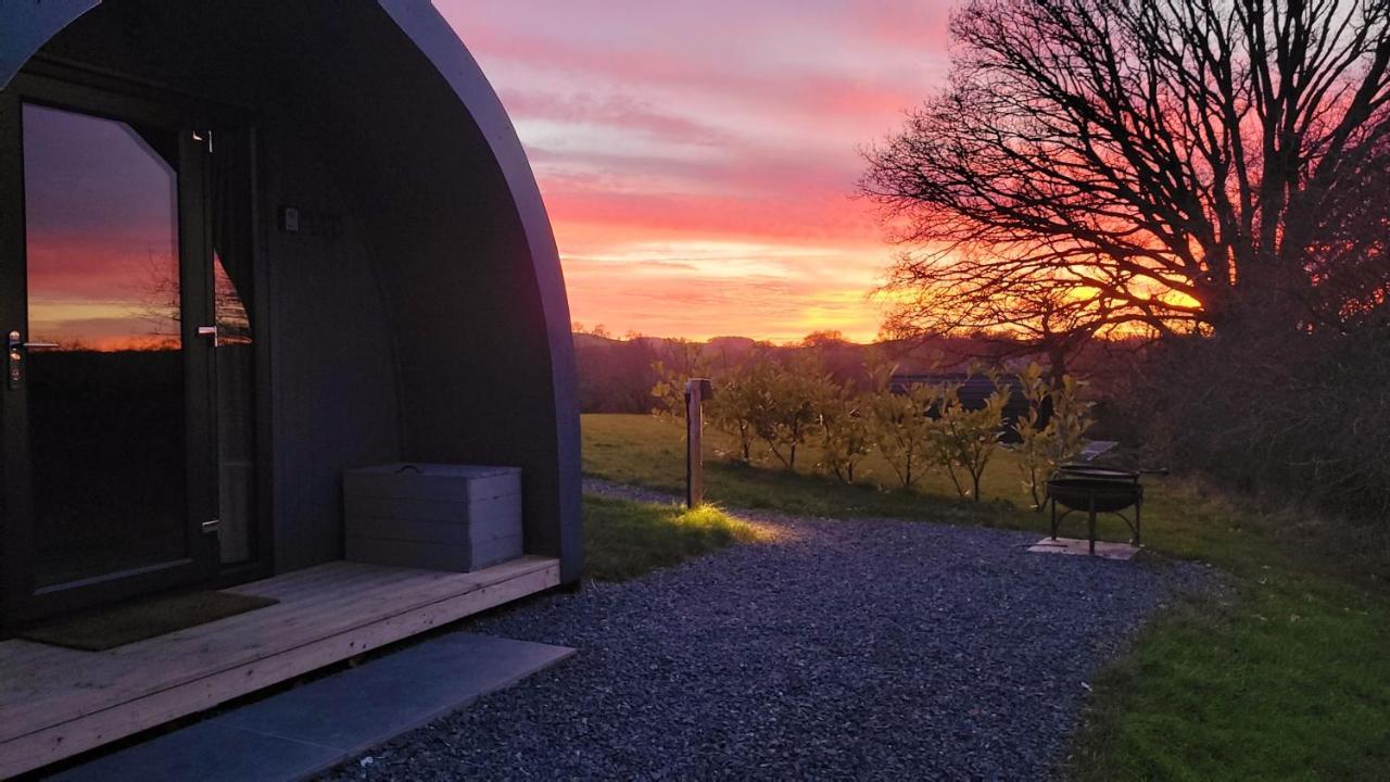 Odli Glamping - Luxury Glamping Pod Villa Уелшпул Екстериор снимка
